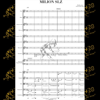 Milion slz